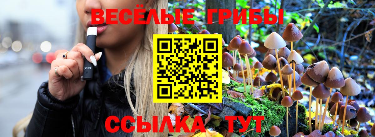 Электросталь  цены   Вход с VPN  Галлюциногенные грибы ЛСД 