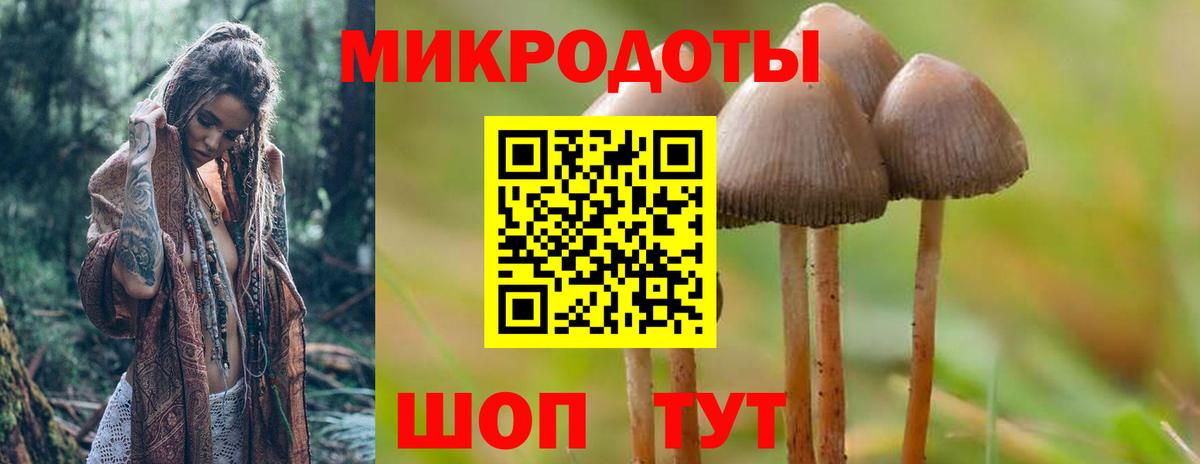 Псилоцибиновые грибы MAGIC MUSHROOMS Электросталь
